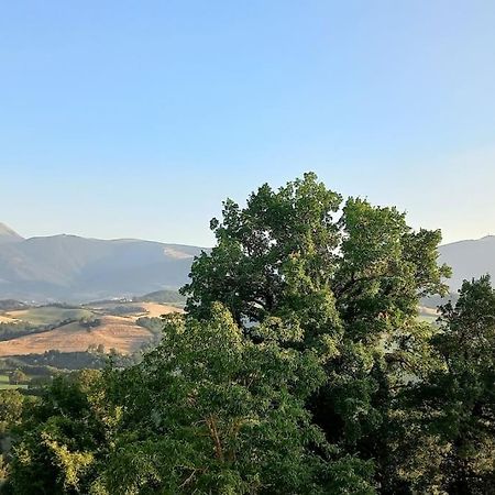 Pigno, Appartamento In Campagna Cagli Exterior foto